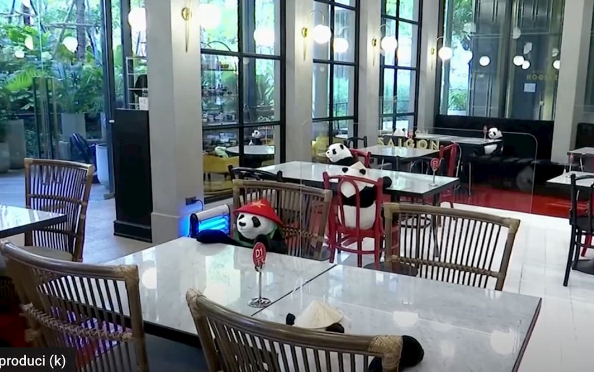 Lockdown, peluche a forma di panda e manichini per combattere la solitudine al ristorante VIDEO