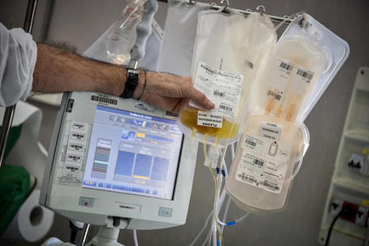 Coronavirus e plasma terapia, De Donno racconta la telefonata dei Nas e attacca Burioni: "Sempre in tv"