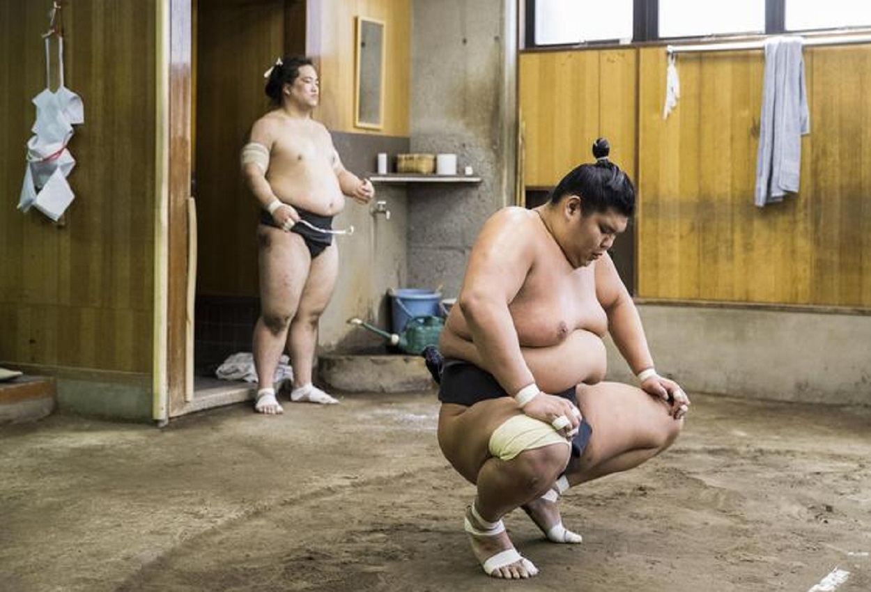 Sumo, Ansa