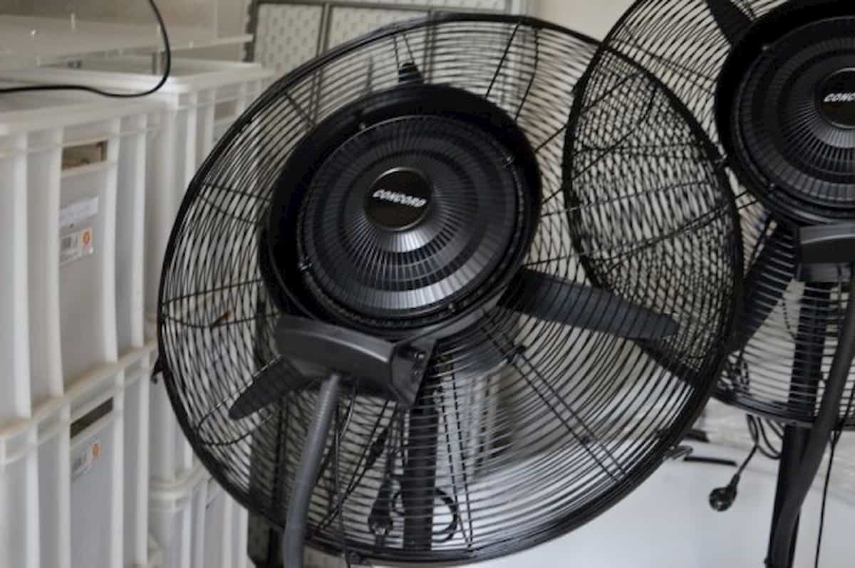 Coronavirus, ventilatori più pericolosi dell'aria condizionata. Andreoni: "Possono veicolare particelle"