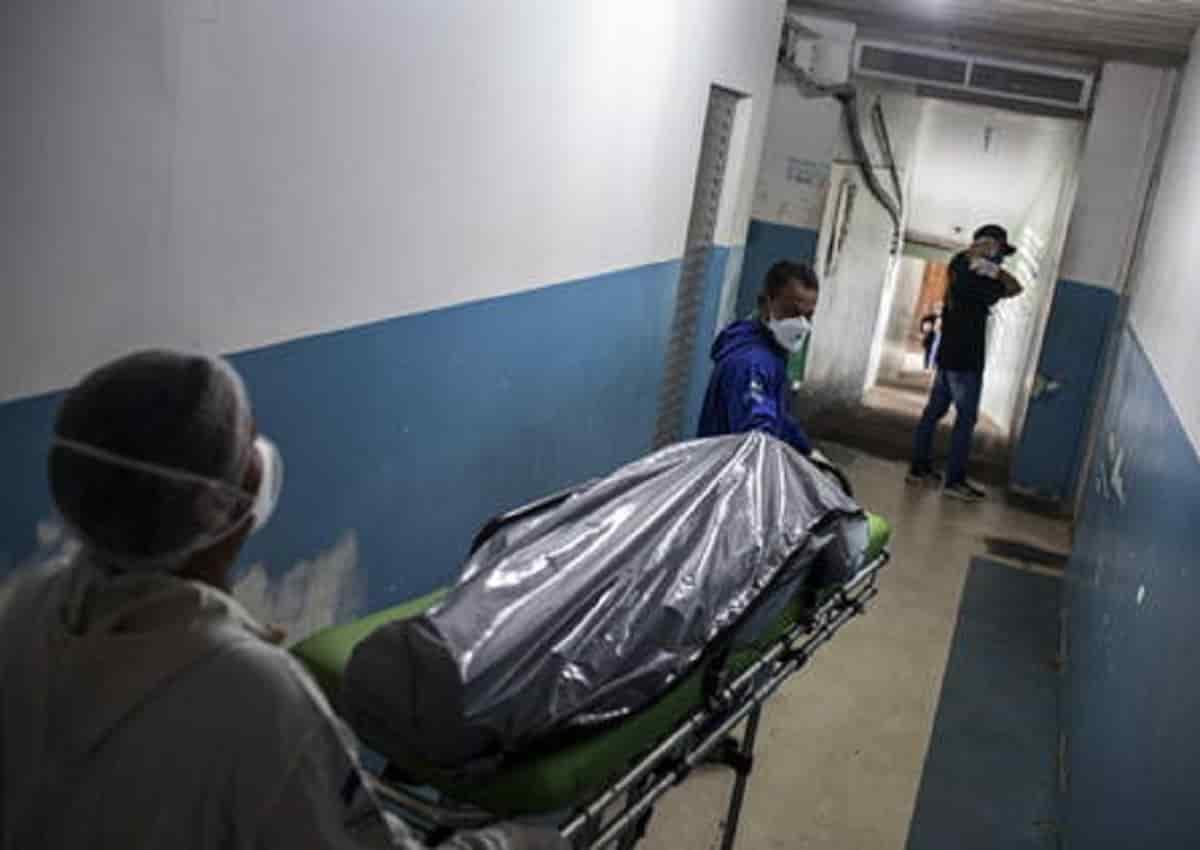 America Latina, Ansa