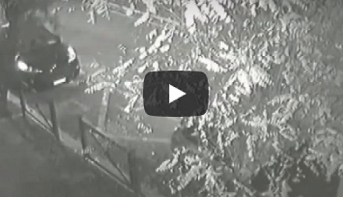 anarchici roma vista