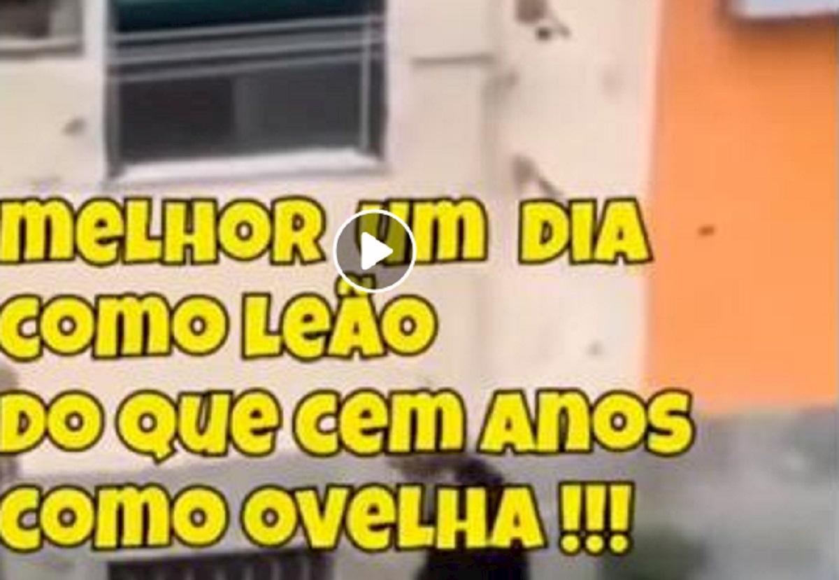 bolsonaro e la frase su mussolini