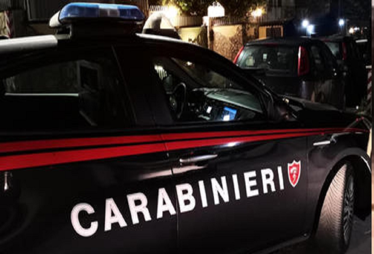 Carabinieri, Ansa