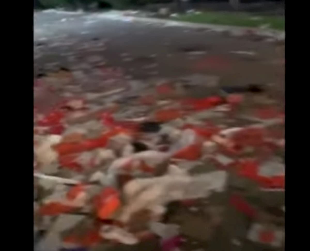 Usa, proteste e devastazioni dopo la morte di George Floyd VIDEO