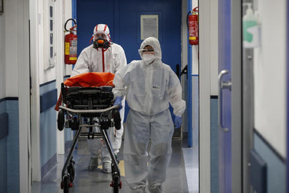 Gatto positivo al Lyssavirus morde padrona ad Arezzo. Virus trovato solo un'altra volta al mondo