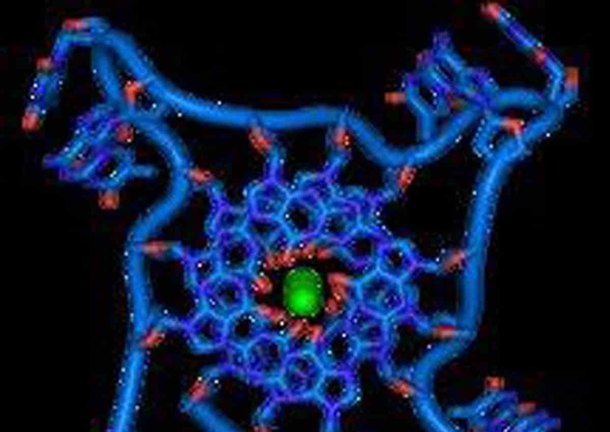 Coronavirus, gruppo sanguigno