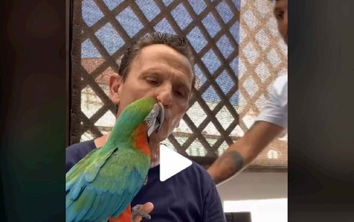 enzo salvi con il suo pappagallo