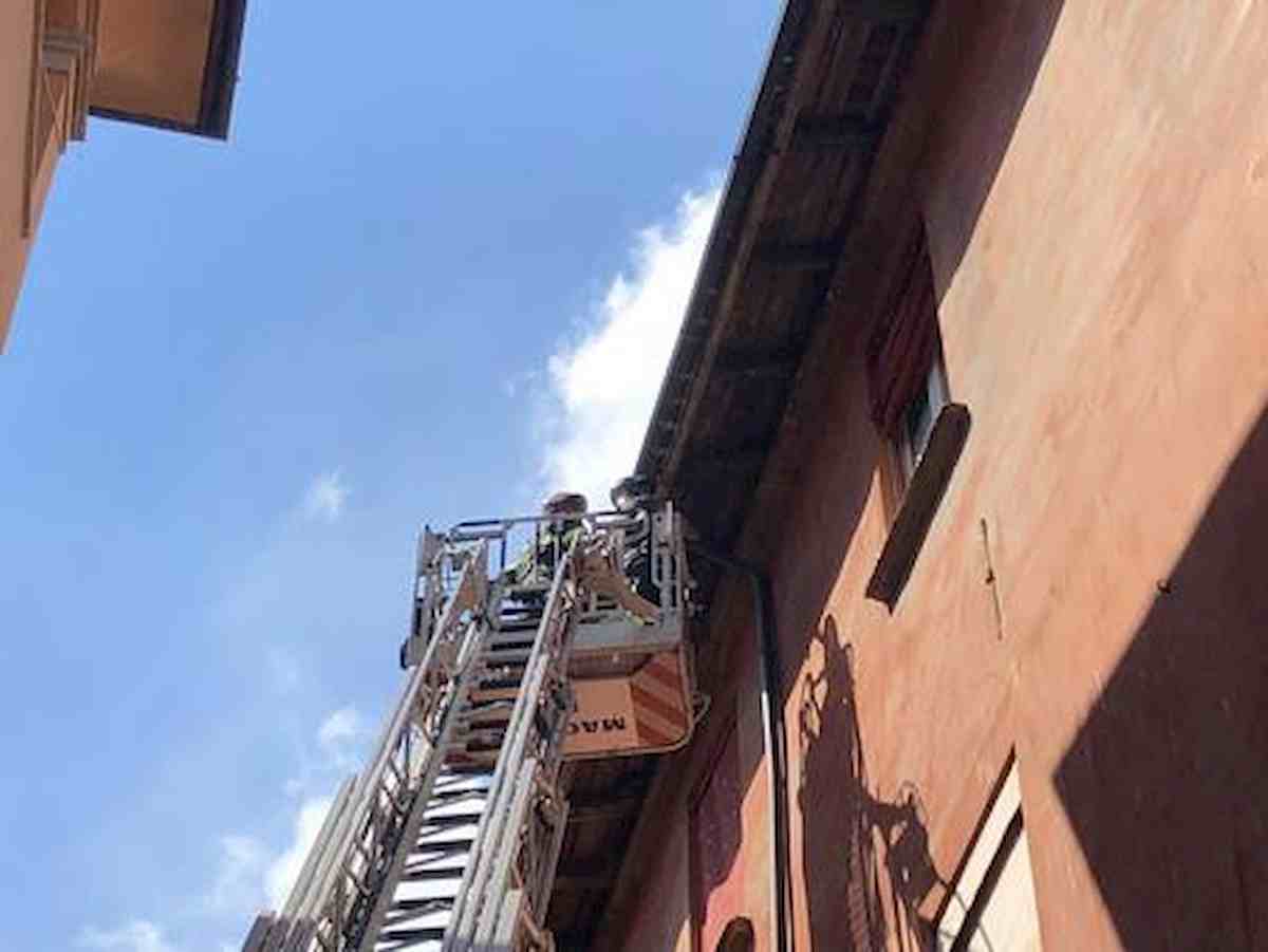 Napoli, accende la luce e la casa esplode: grave donna di 55 anni