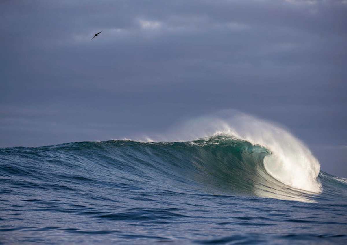 Inquinamento, mercurio nel fosso delle Marianne