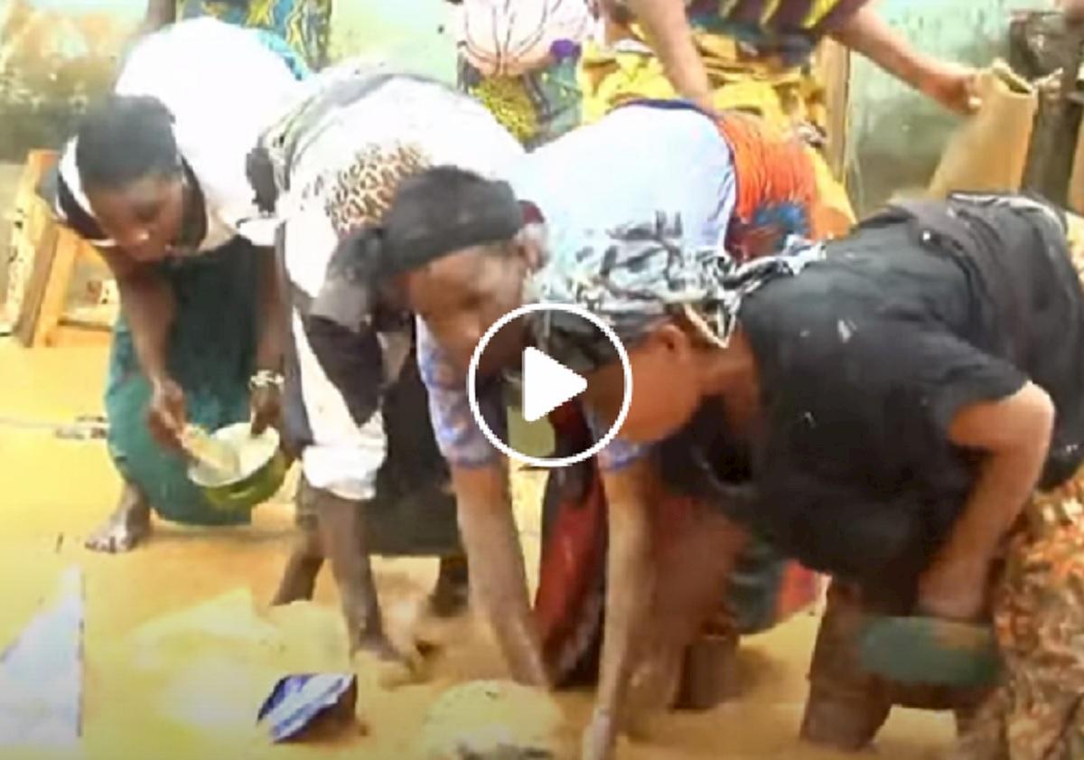 frana costa d'avorio