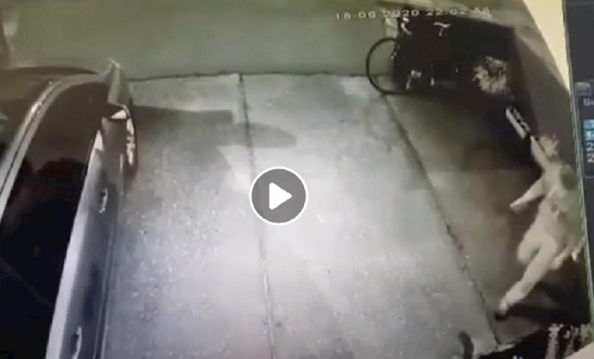 gran bretagna, furto di piante