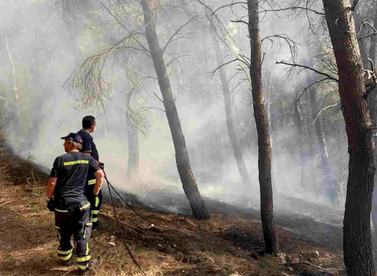 Ascoli Satriano, incendio al Bosco Serpente. Taglia di 5 mila euro per trovare i piromani