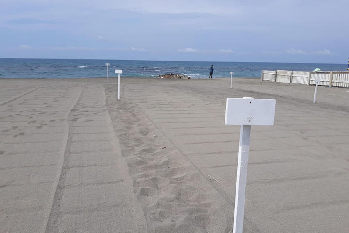 3 giugno: spostamenti liberi, ma occhio alle ordinanze del Sud. Nel Lazio con la febbre non entri