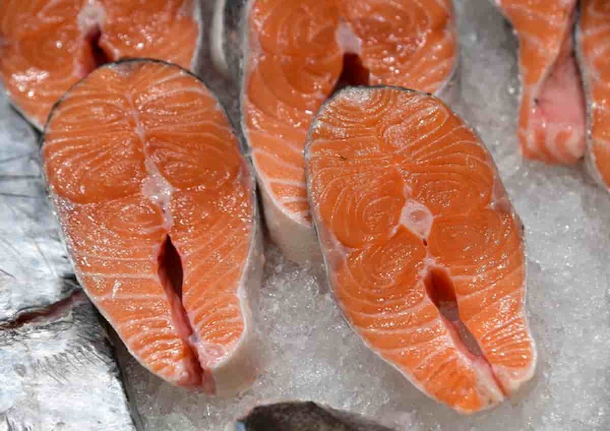 Salmone la strega da bruciare. Storia di una idiozia planetaria
