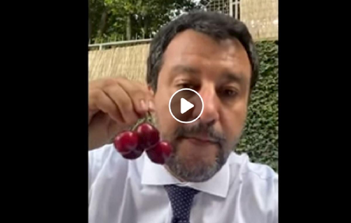 salvini mangia le ciliegie