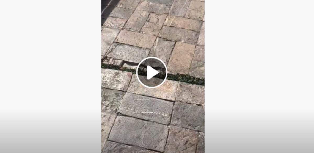 terremoto in messico