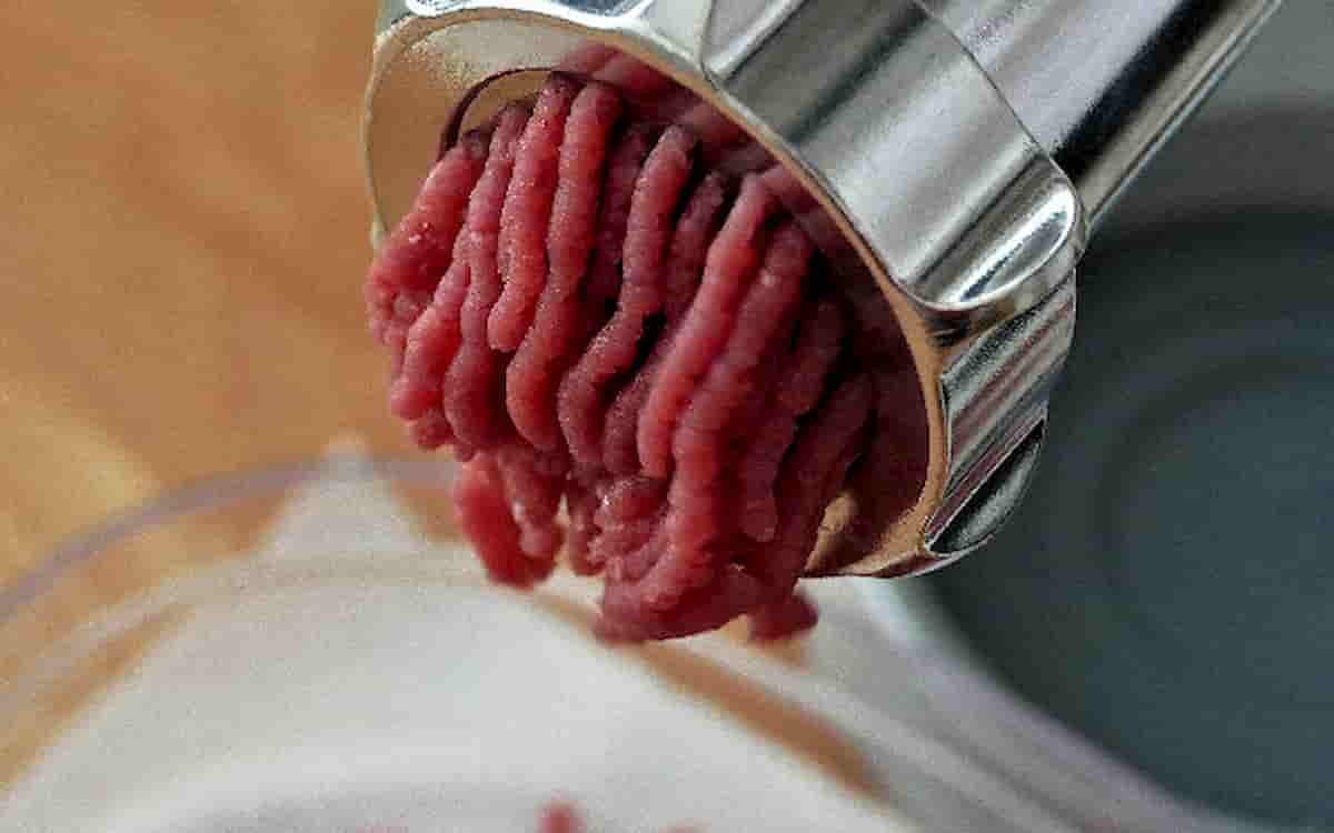 Singapore: in vendita carne animale fabbricata in laboratorio. E' sintetica e deriva da cellule di bovini