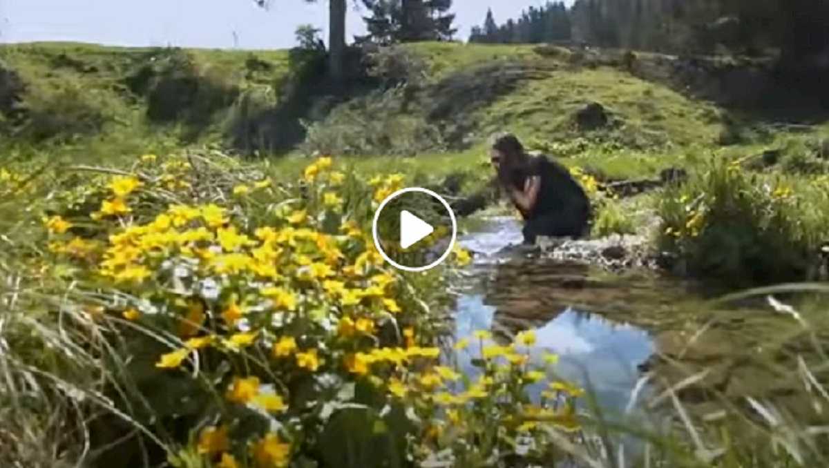 lo spot della valsugana