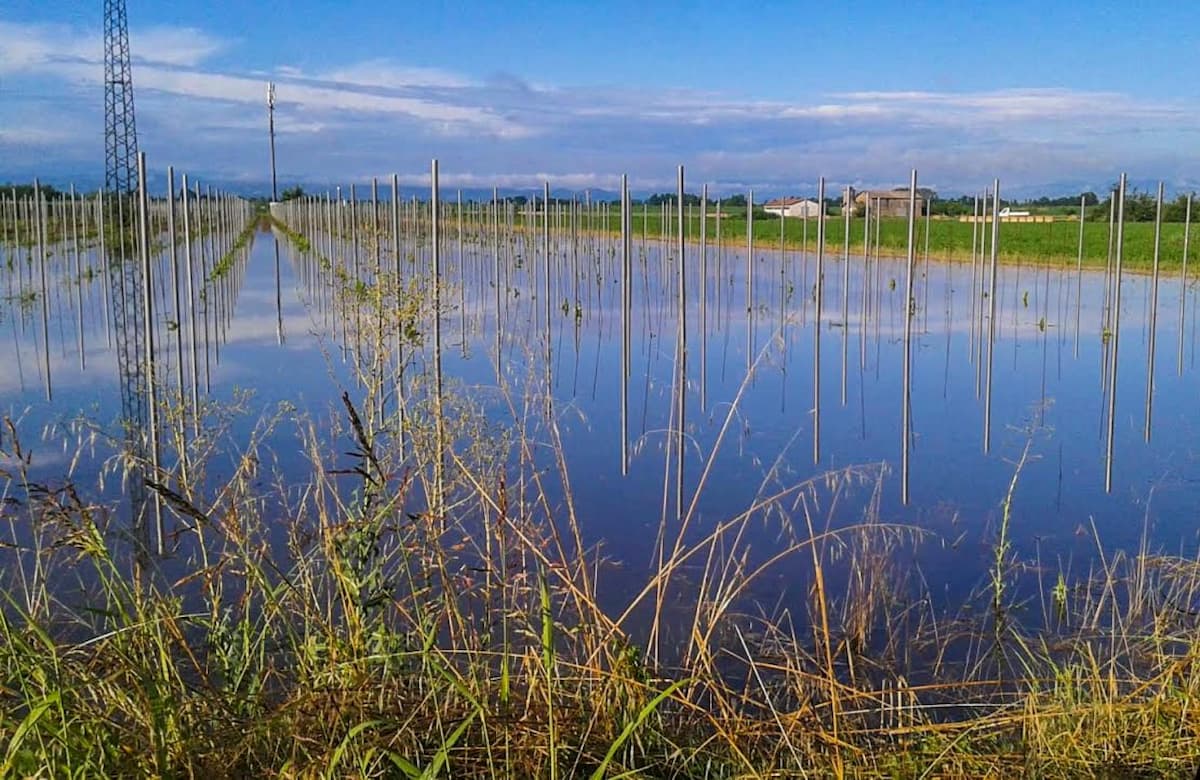 Maltempo al Nord: ci sono stati temporali, allagamenti e danni all'agricoltura