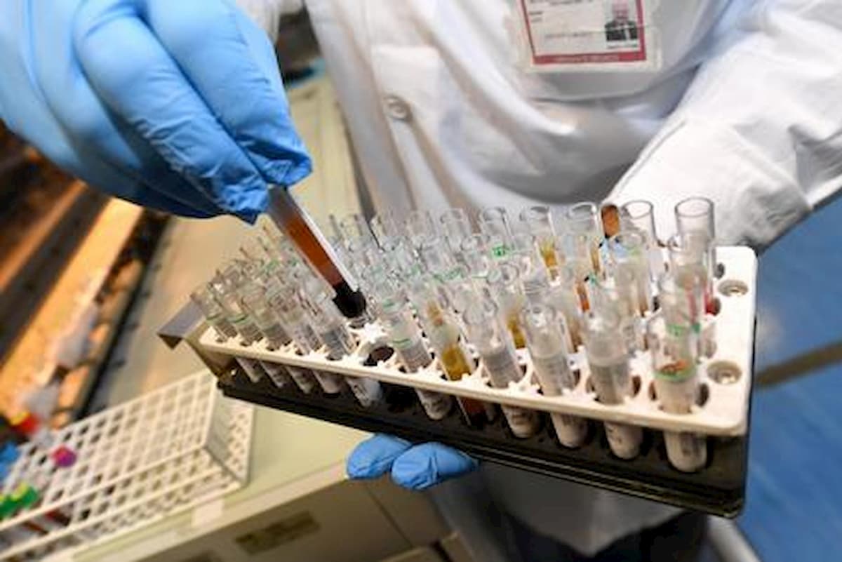 Dopo il gatto positivo al Lyssavirus i veterinari monitorano i pipistrelli ad Arezzo