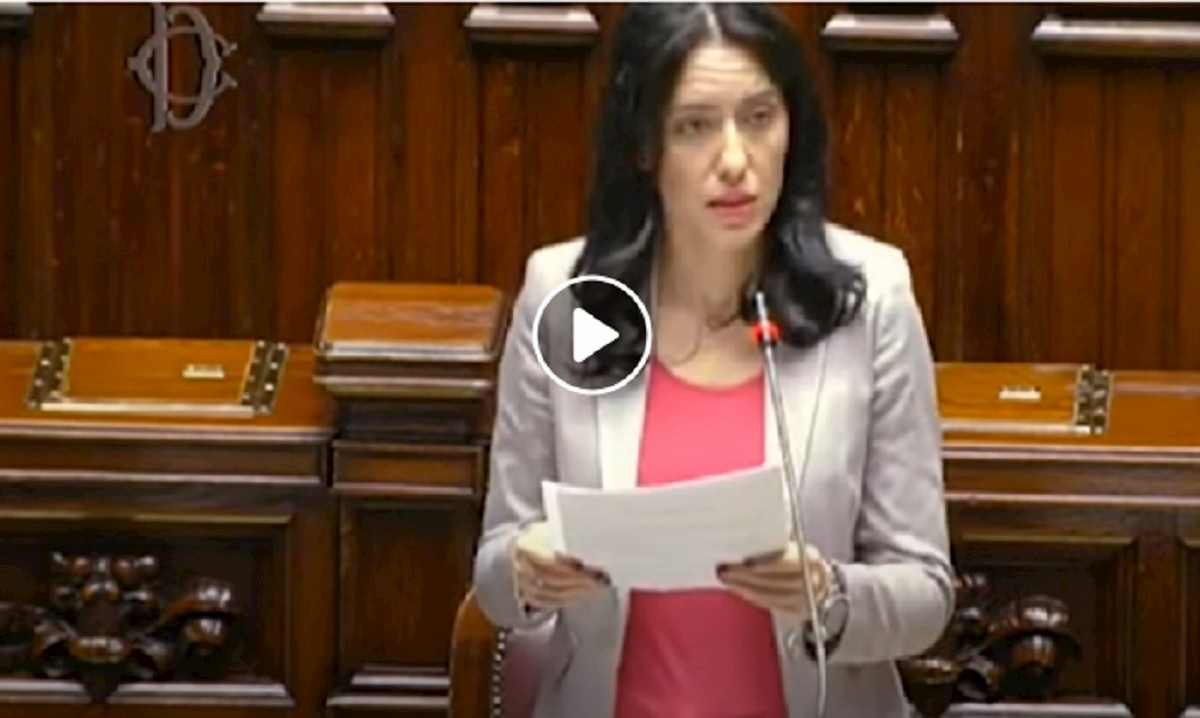 Azzolina alla Camera