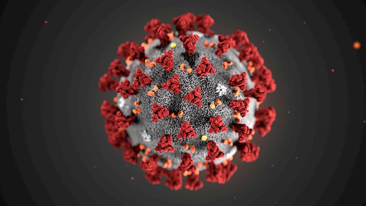 Coronavirus bollettino 16 luglio