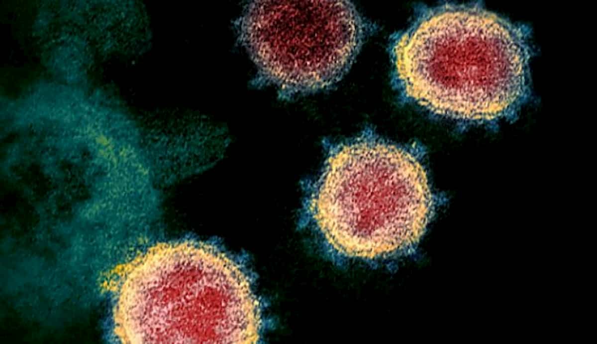 Covid-19, in Italia solo il ceppo tedesco