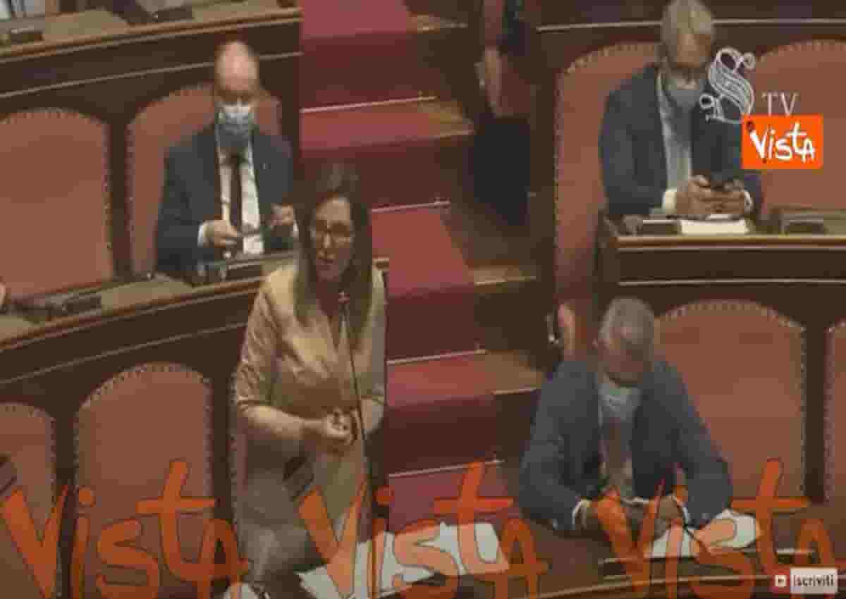 Daniela Santanchè, Vista