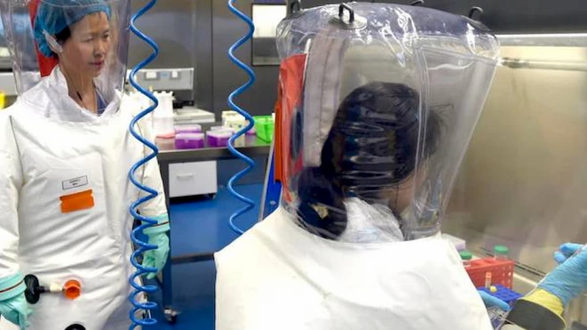 Covid-19, dalla miniera di rame al laboratorio di Wuhan