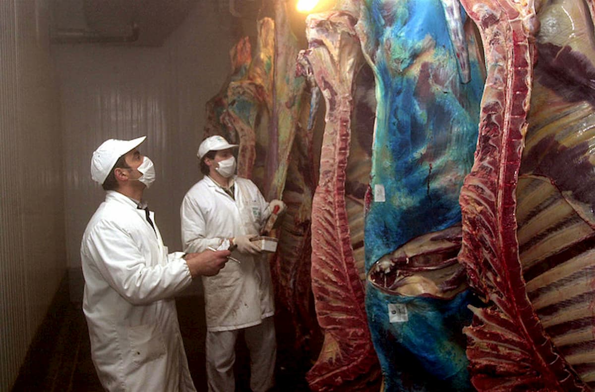 A Mantova si registrano più casi di coronavirus che a Milano: nuovi focolai in salumifici e macelli