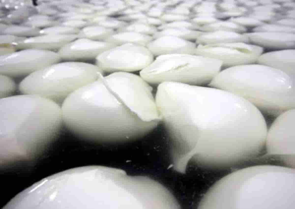 Napoli, foto d'archivio Ansa delle mozzarelle