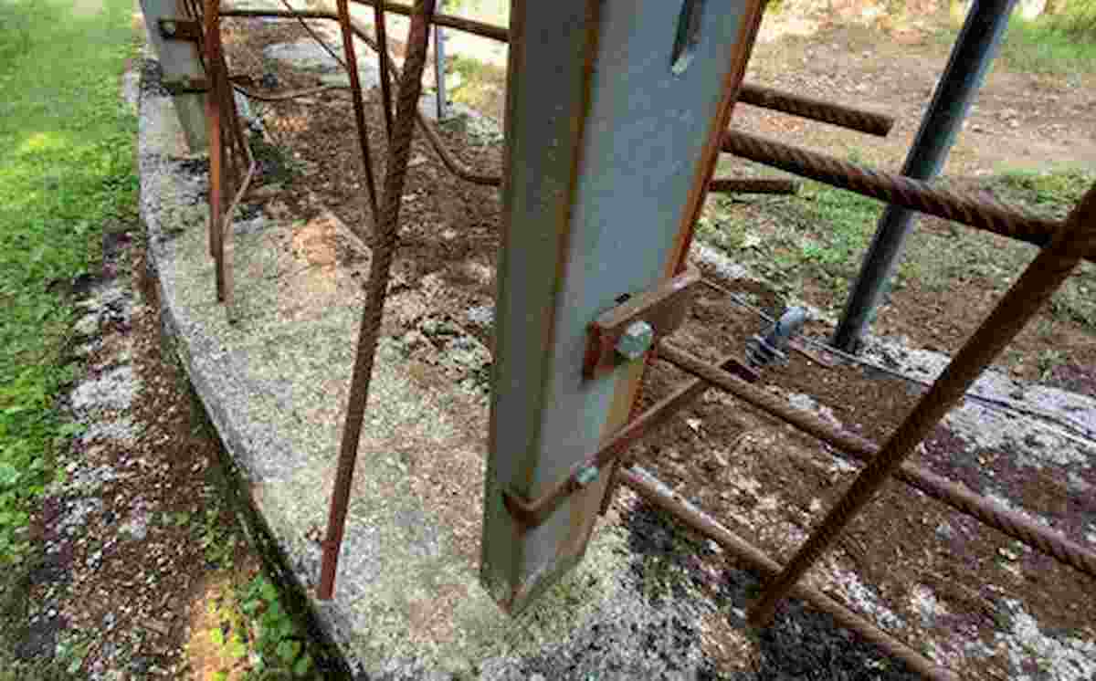 Orso M49 di nuovo in fuga: "Forza fuori dal comune". Si dimette capo Forestale