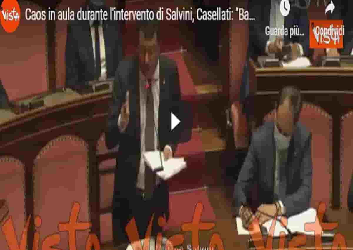 Matteo Salvini, Vista