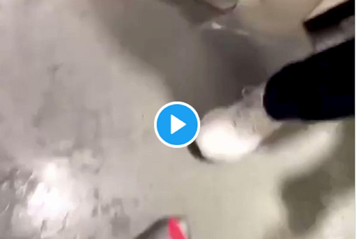 sarri vince lo scudetto