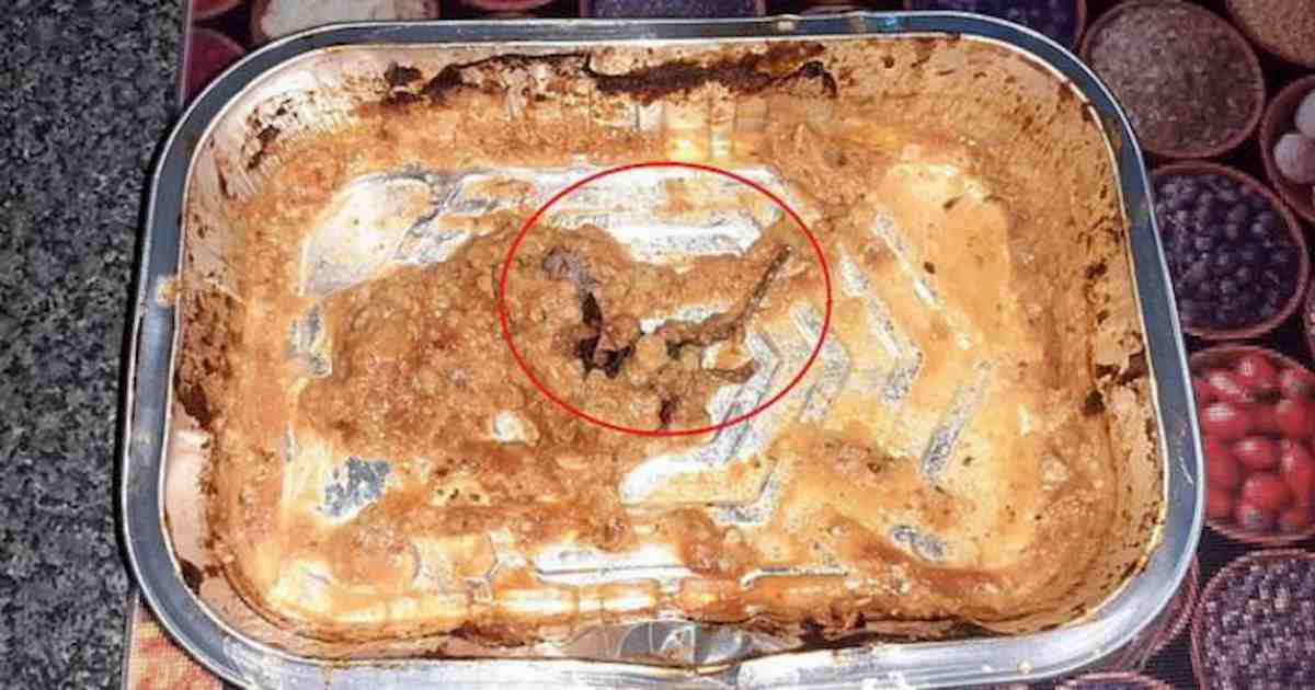 topo morto nel piatto