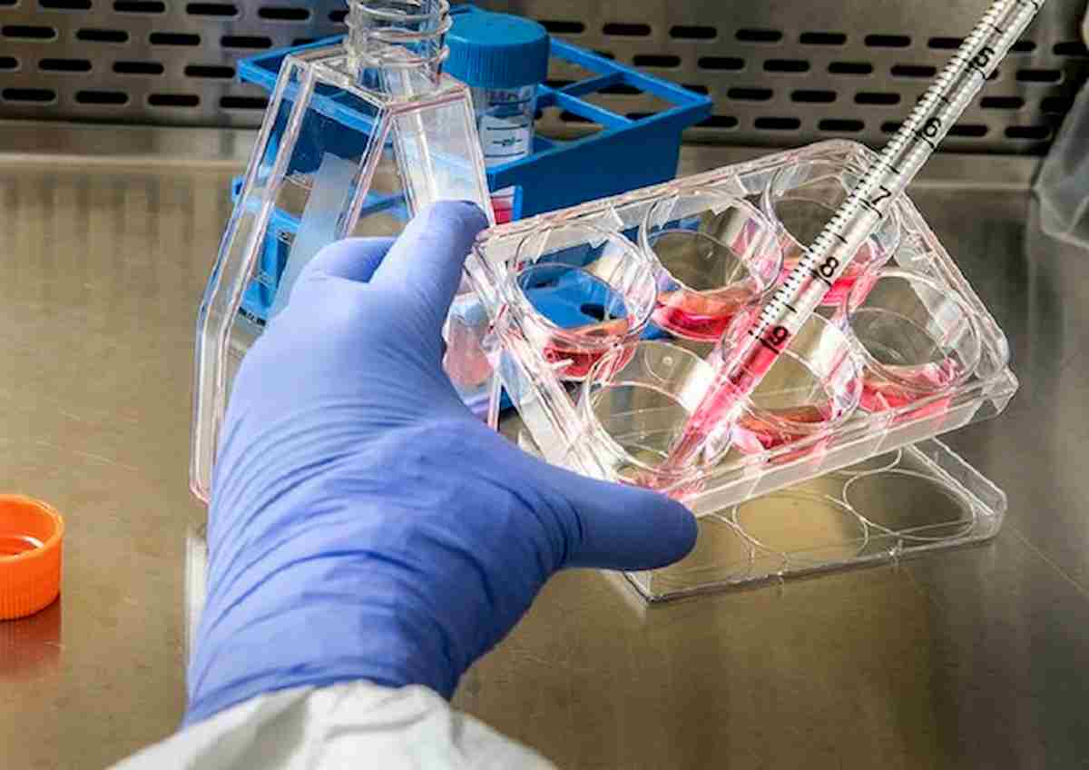 Vaccino Covid, la ricercatrice italiana Agnese Lanzetti: "Io volontaria per test col virus"