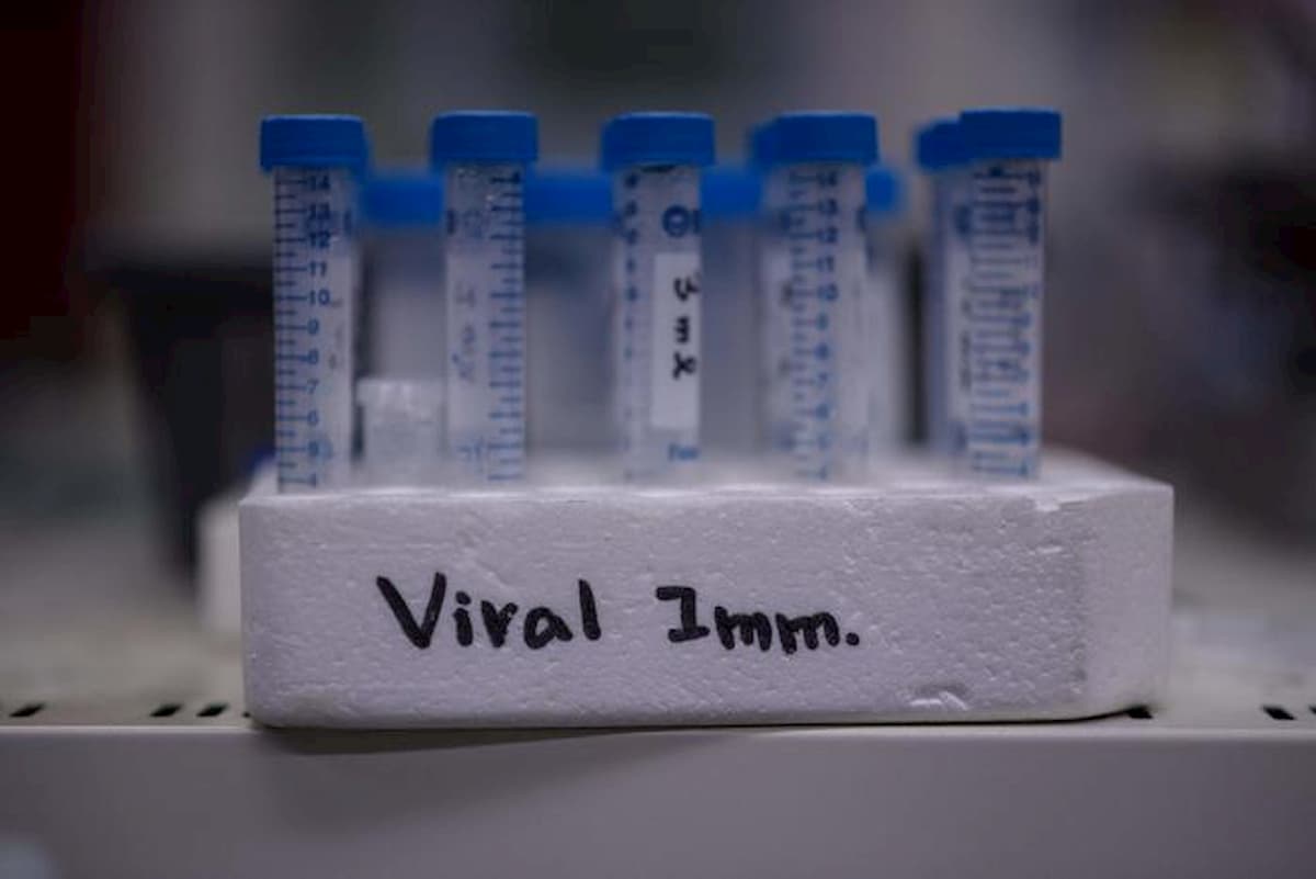 Vaccino Usa Moderna ok sui macachi