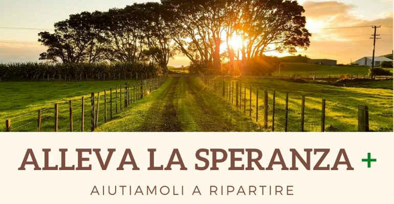 Alleva la speranza+: il progetto di Enel e Legambiente per le aziende terremotate e colpite dal Covid