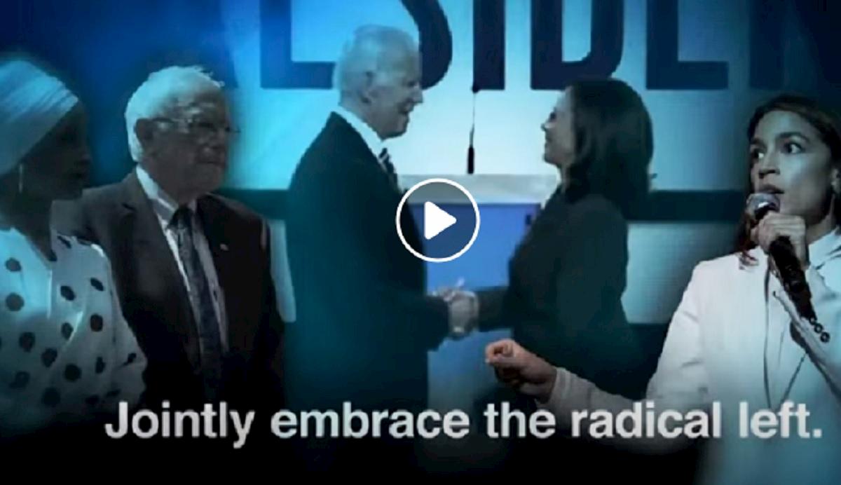 joe biden, kamala harris