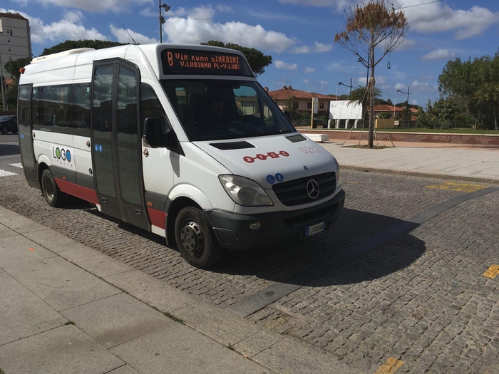 Compagni di classe come congiunti sugli autobus