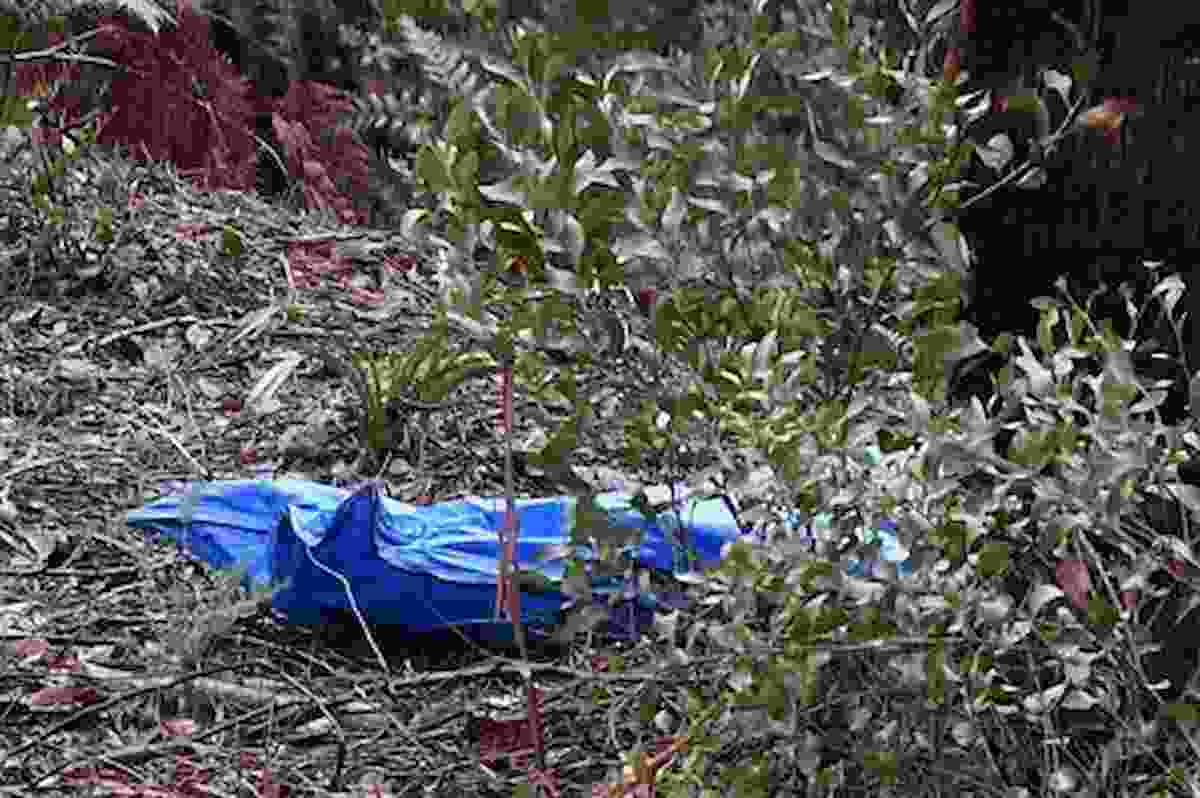 Diventa cattolico e confessa: "Ho ammazzato una donna 5 anni fa, ecco dov'è il cadavere"