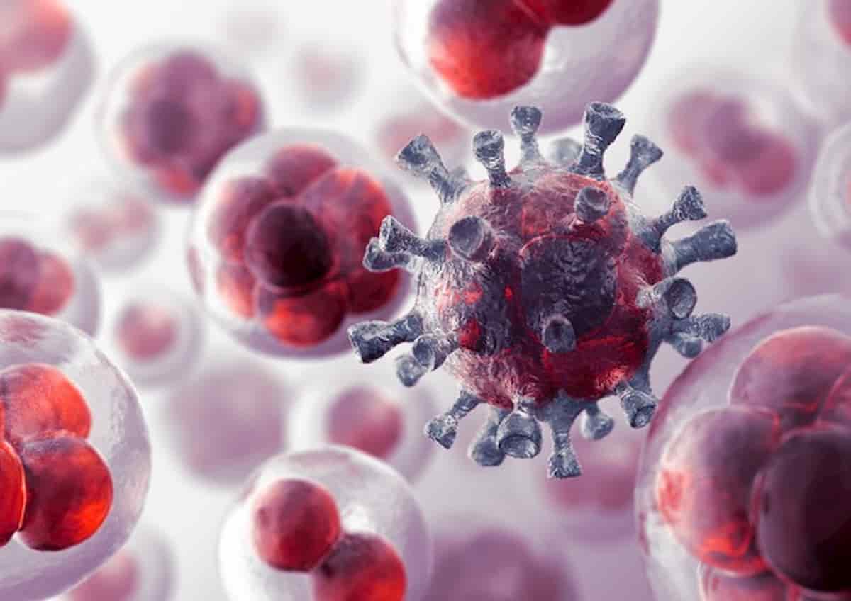 Tumori, il cancro provoca più morti del Covid