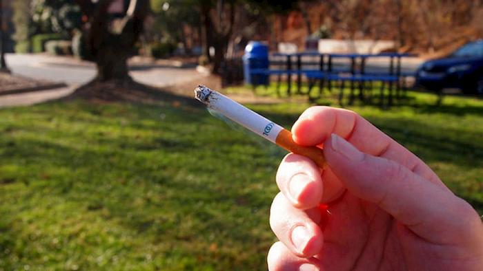 Torino, vietato fumare nei parchi e nei giardini con aree giochi per bambini