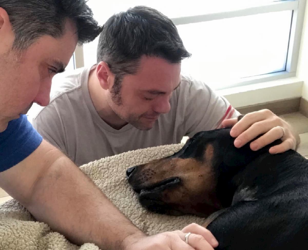 Tiziano Ferro in lutto per il cane morto: "Beau non ce l'ha fatta"