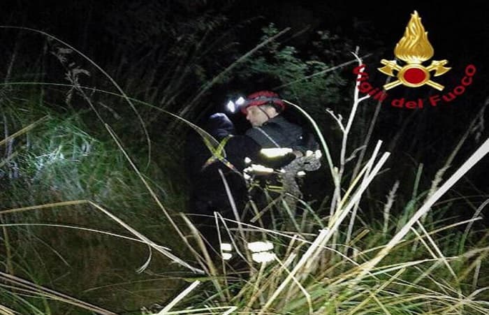 Incidente Cuneo, Ansa