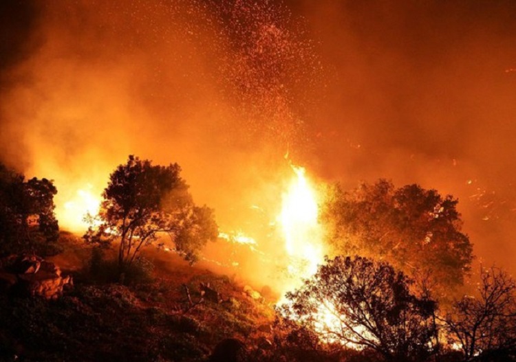 Palermo, foto Ansa degli incendi