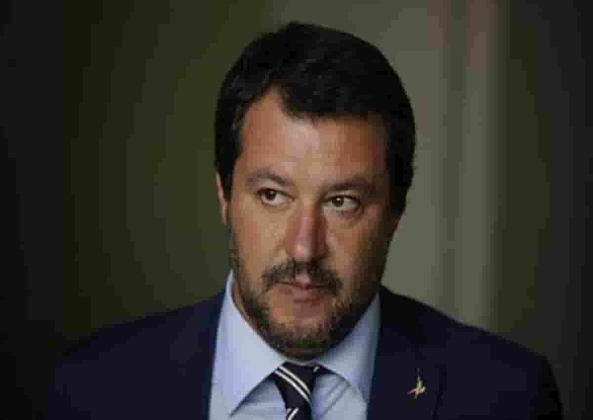 Matteo Salvini, Ansa