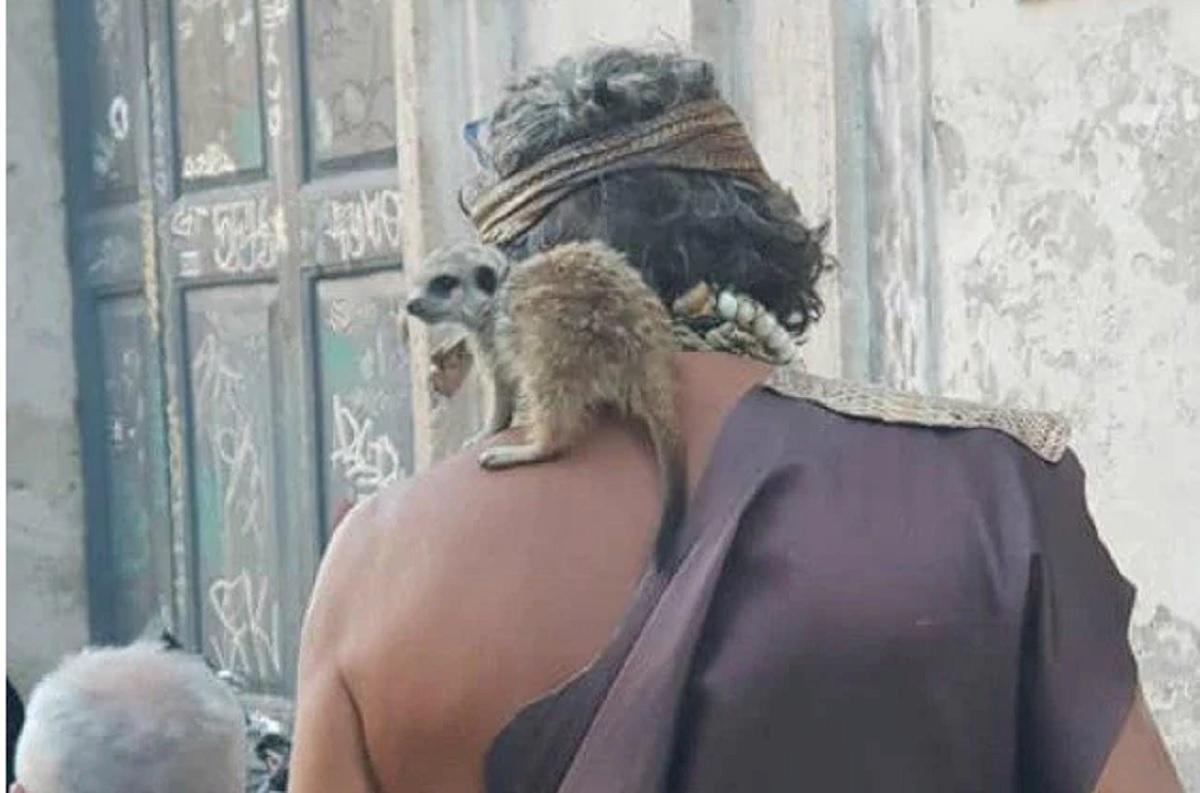 suricato a trastevere