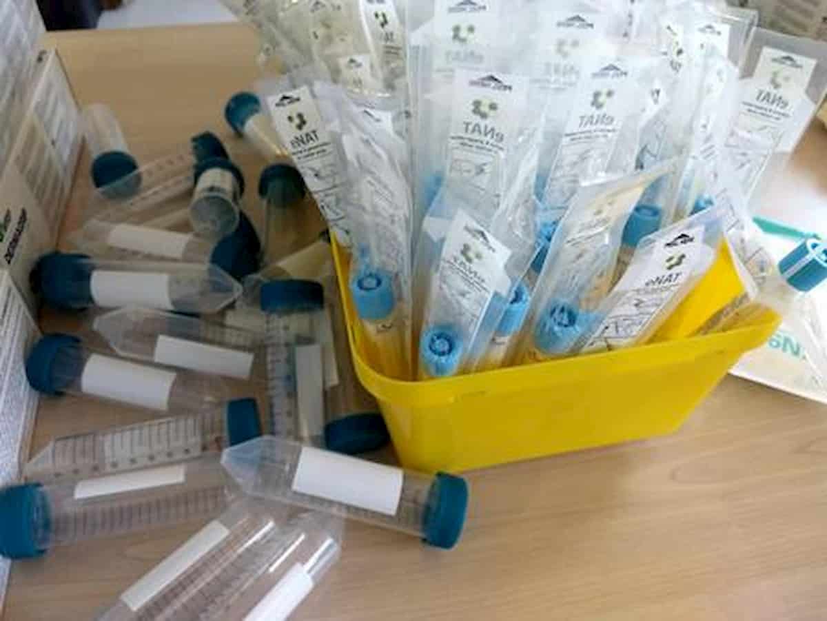 Coronavirus. E' la carica virale che conta: bambini infetti con o senza sintomi, positivi al tampone anche per tre mesi